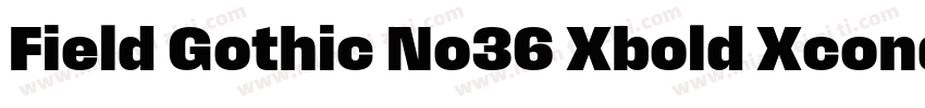 Field Gothic No36 Xbold Xcond字体转换